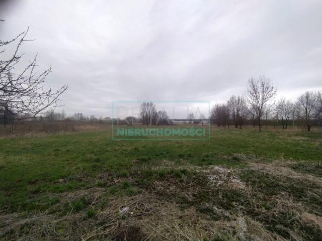 Działka 9 000 m², Grodzisk Mazowiecki