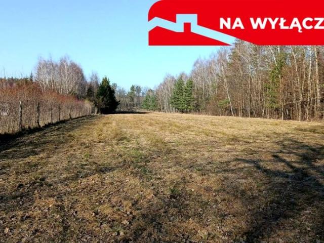 Działka 9 000 m², Krzywe