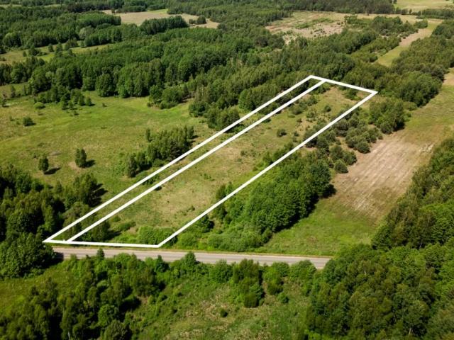 Działka 9 000 m², Wólka Dąbrowicka