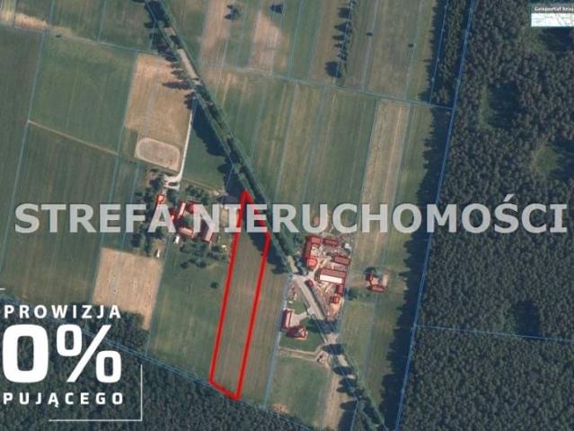 Działka 9 040 m², Tarnowska Wola