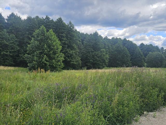 Działka 9 177 m² z dostępem do rzeki Dobrzyca