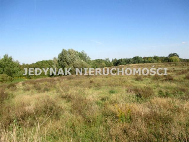 Działka 9 191 m², Łochowice