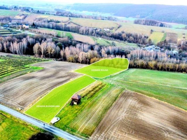 Działka 9 300 m², Jędrzejówka