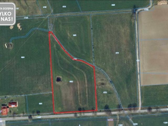 Działka 9 384 m², Kurowo Braniewskie