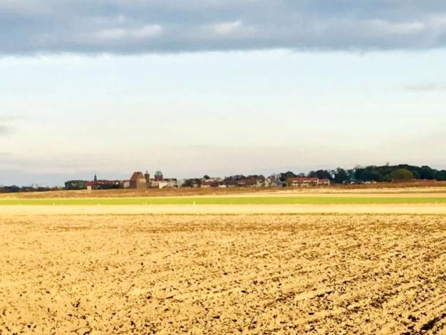 Działka 9 400 m², Chrząszczewo