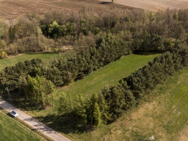 Działka 9 428 m², Zambski Stare