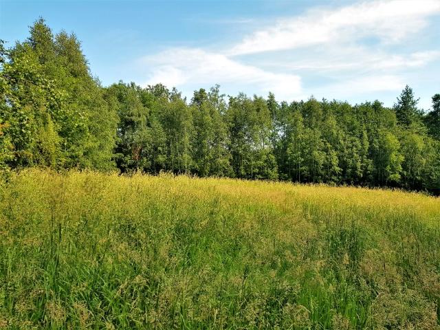 Działka 9 467 m², Pisarzowice