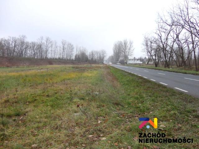 Działka 9 487 m², Nowy Zagór