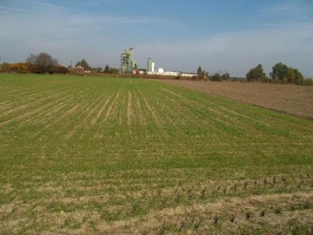 Działka 9 500 m², Byków
