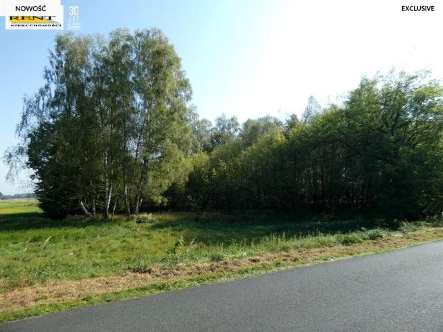 Działka 9 597 m², Tarnówko