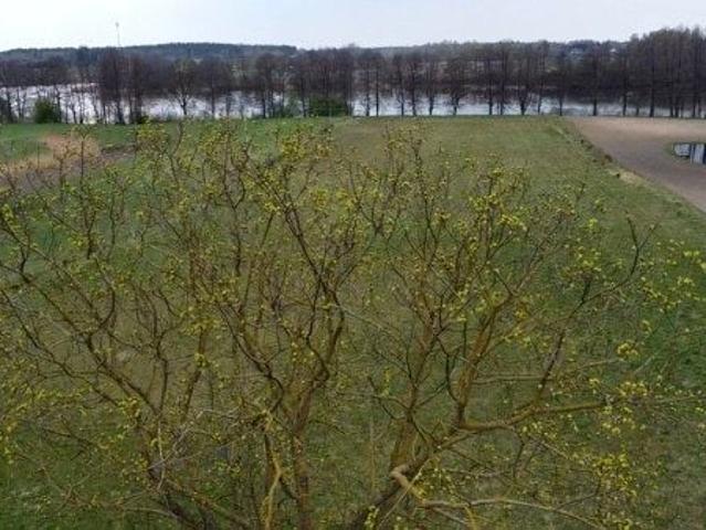 Działka 13 418 m², Tynwałd