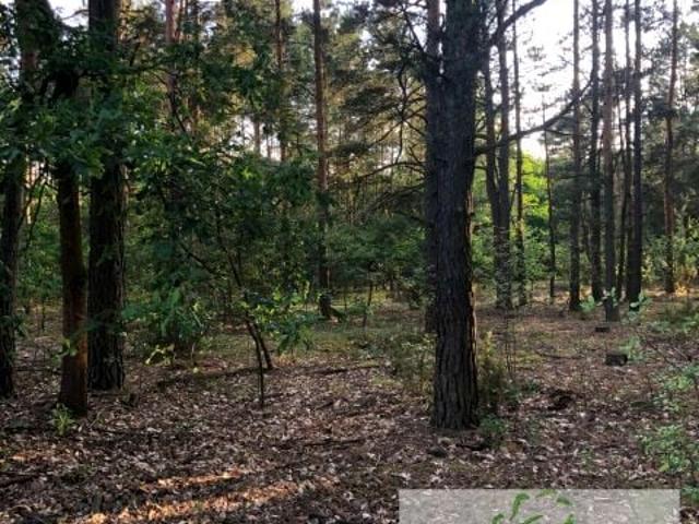 Działka 9 700 m², Chrzczanka Włościańska