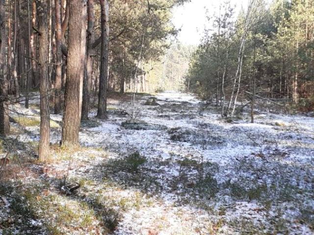 Działka 9 700 m², Stare Opole