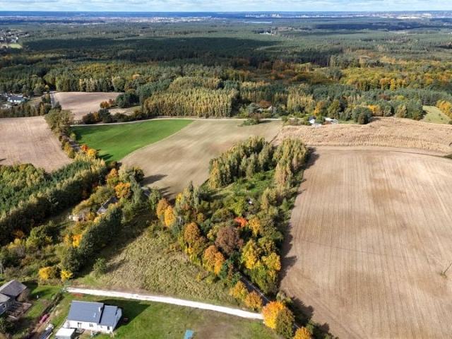 Działka 9 700 m², Wiewiórki