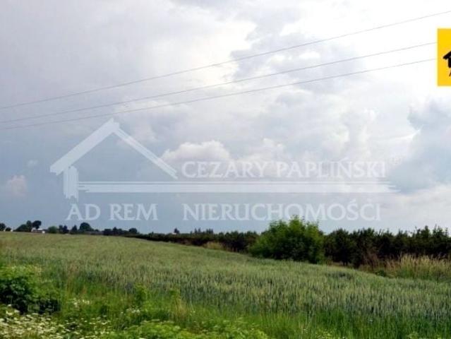 Działka 9 784 m², Sławacinek Nowy