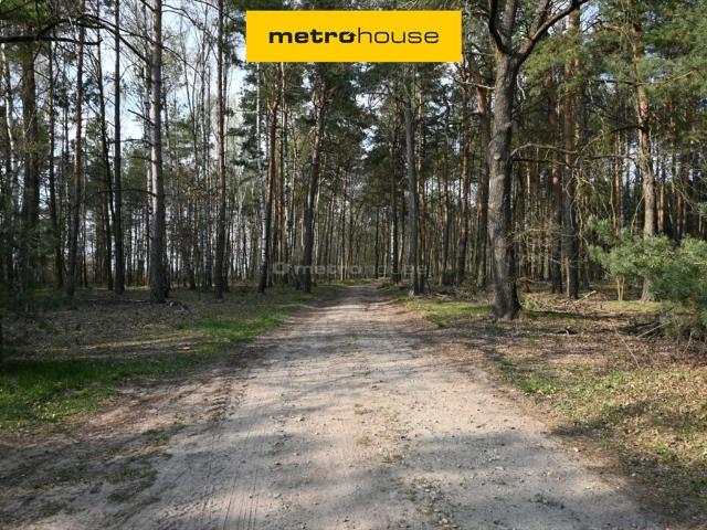 Duża działka 9 797 m² z lasem i widokiem na pola