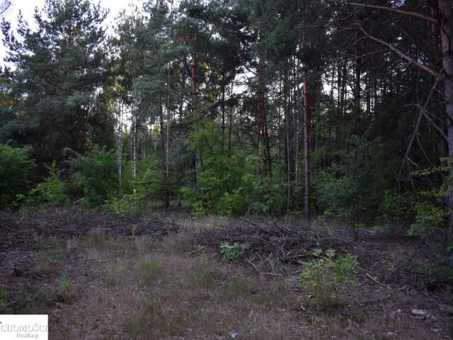 Działka 9 800 m², Wola Rasztowska
