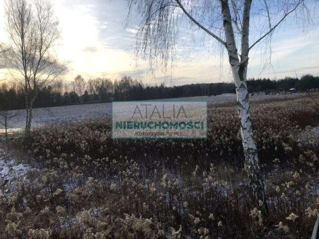 Działka 9 830 m², Strzeniówka