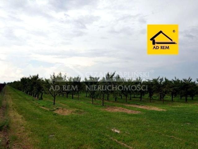 Działka 9 893 m², Sławacinek Nowy