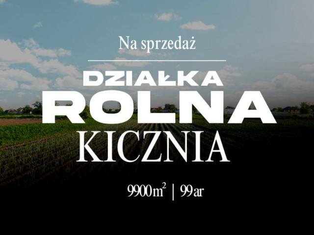 Działka 9 900 m², Kicznia
