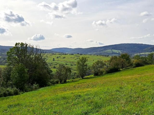 Działka 9 900 m², Posada Jaśliska