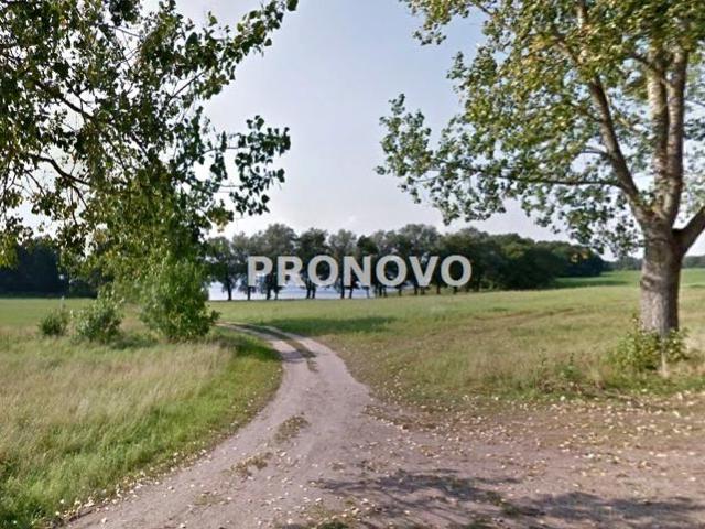 Działka 9 900 m², Zarańsko