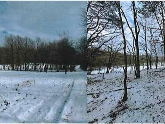 Działka, 9 919 m², Godów