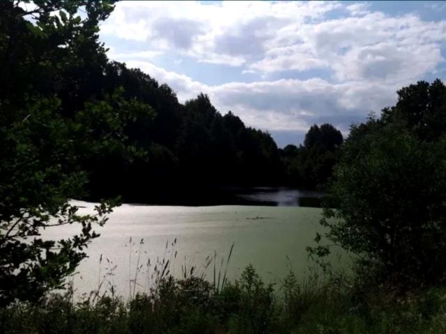 Działka 9 927 m², Czarnkowie