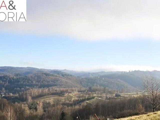 Działka 9 970 m², Zagórze Śląskie