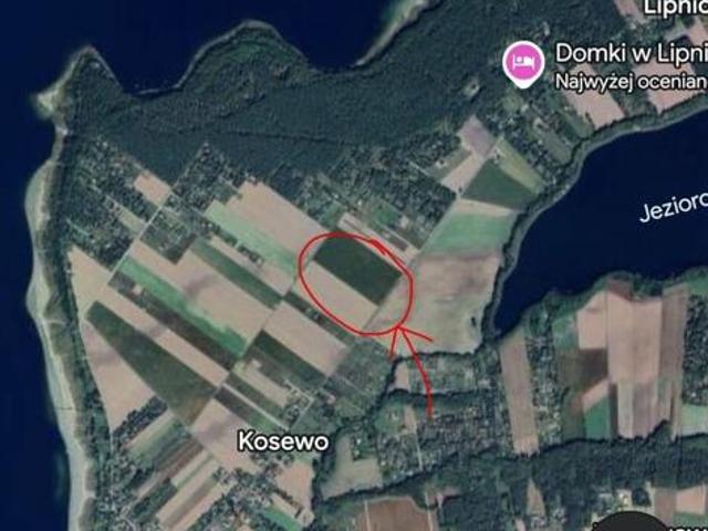 Działki między jeziorem Powidzkim a Kosewskim