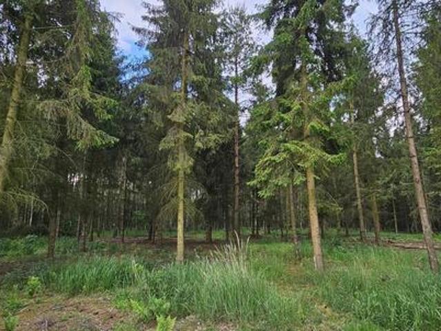 Działki bud. 1202M2  WZ  STUDNIE