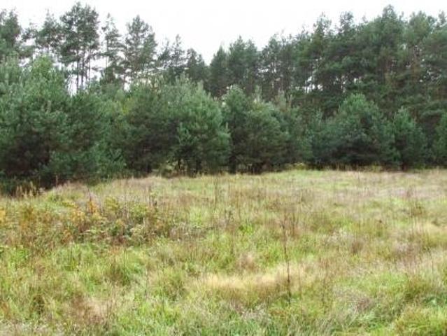 Działki bud. 2400m2 /25zł m2/, CZARNA gm.Pierzchnica