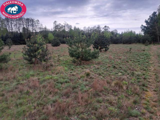 Działki budowlane 1254 m² w Krzyżówce zapraszam