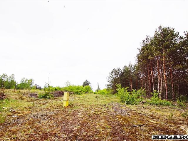 Działki budowlane w otulinie lasu, Grabówka, 2161 m2