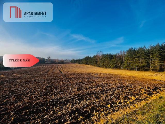 Działki budowlane w Czarne Małe – spokój i natura