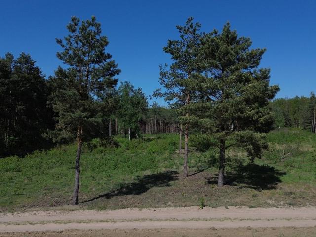 Działki budowlane w Serocku, od 1000 m2, spokojna okolica