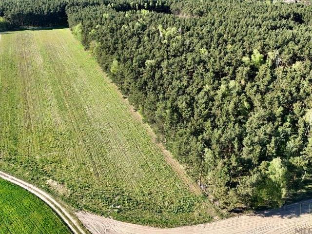 Działki budowlane w zielonej okolicy, blisko miasta