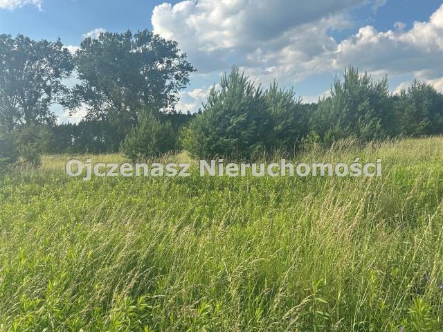 Działki budowlane z mediami w Żołędowie – od 140 zł/m²