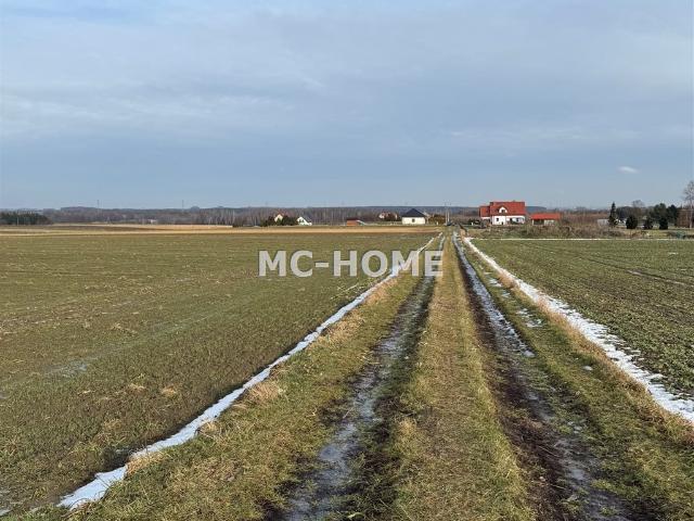 Działki budowlane z pełnym uzbrojeniem, MPZP, 15 801 m2