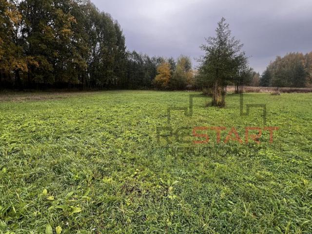 Działki budowlane Żaby 1500 m2, spokojna okolica