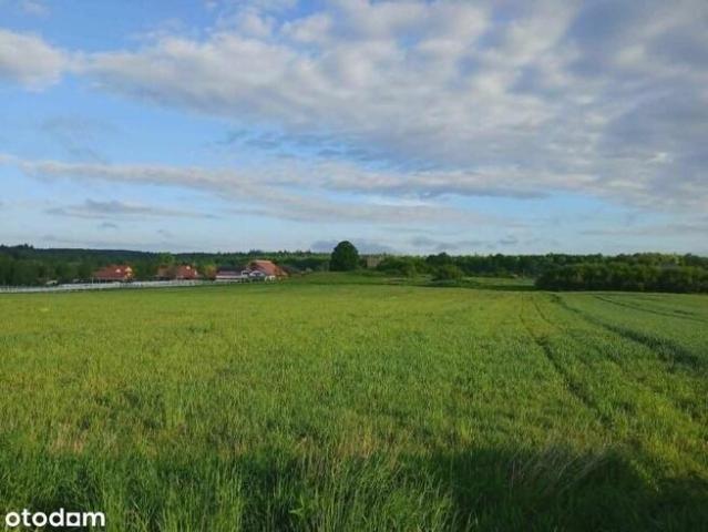 DZIAŁKI BUDOWLANE MYŚ/LINÓW 2,7 HA/ MPZP INWESTYCJA +DOM