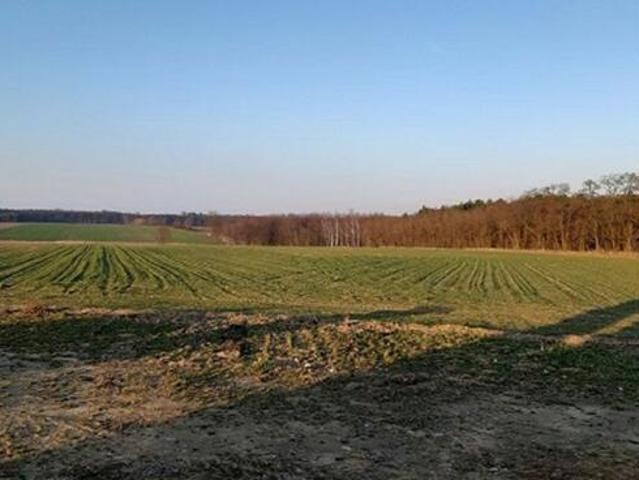 Działki budowlane od 970m2i 999m2, Kamień