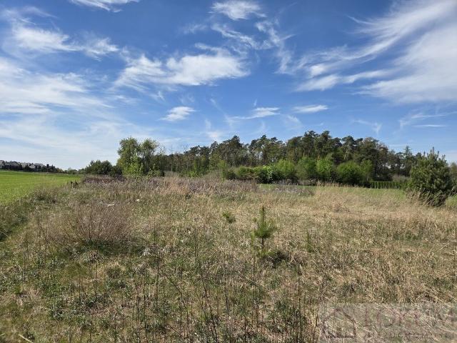 Działki pod zabudowę w Prawiedniki Kolonia, 1100 m²
