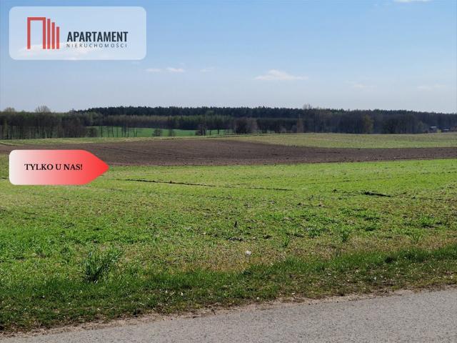 Działki pod zabudowę z mediami, lasy i jeziora w pobliżu