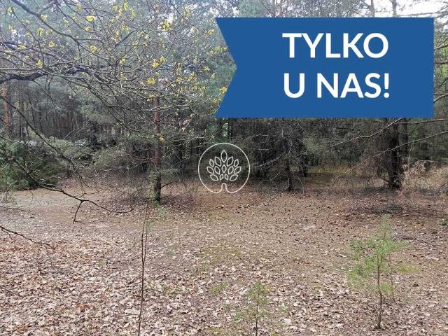 Działki rekreacyjne z prądem, lasem i blisko rzeki