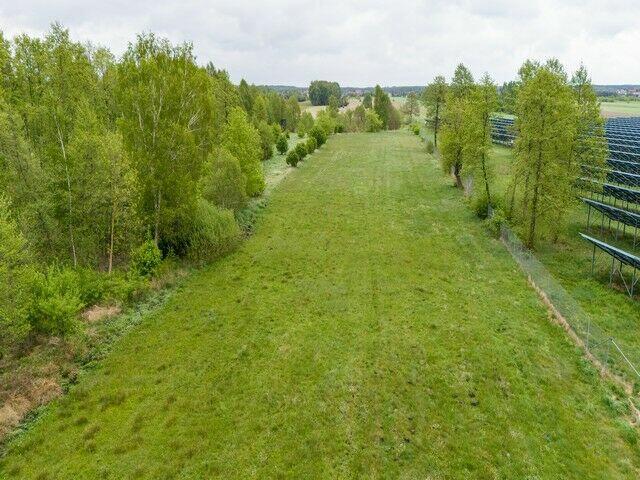Działki rolne pod gospodarstwo i wypas zwierząt, Kuny, Leoni