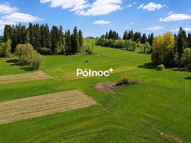 Działki rolne w Brzegach pod lasem, 86 arów, cisza