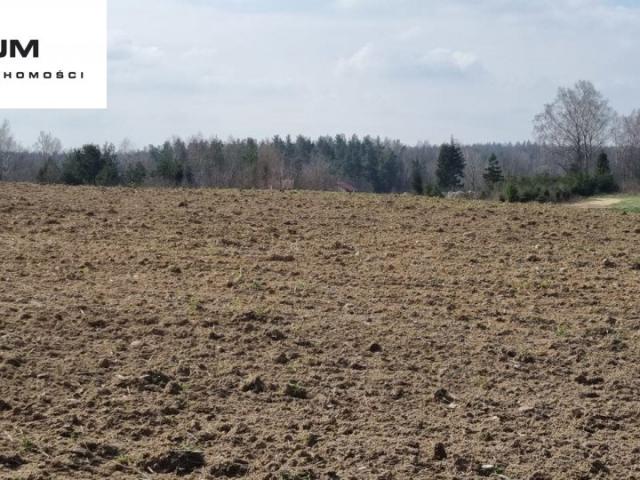 Działki usługowe 3300 m² w Kobysewie zapraszam