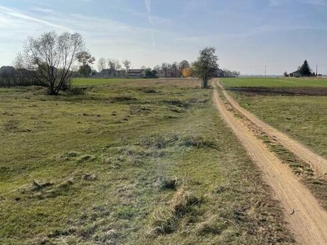 Działki 5395 m² | Koźmin | naprzeciwko zalewu | 50 zł/m²