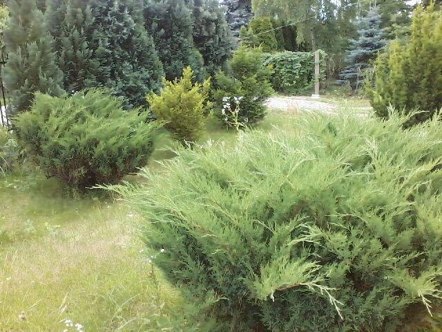 Dzialka 600m2 budowlana w Grodzisku 300m od szkoly